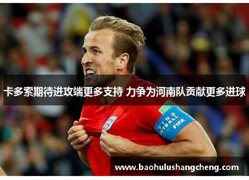 卡多索期待进攻端更多支持 力争为河南队贡献更多进球 卡多索期待进攻端更多支持 力争为河南队贡献更多进球